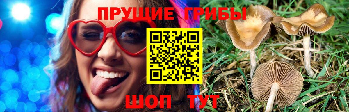 Галлюциногенные грибы прущие грибы Еманжелинск
